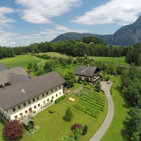 Bauernhof "Unteres Feld" Villa Altmünster Dış mekan fotoğraf